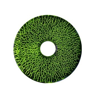 blocco MTU di riferimento controllo magnetoscopico fluorescente sensibilità liquidi magnetico campo magnetico spray magnetico fluorescente
